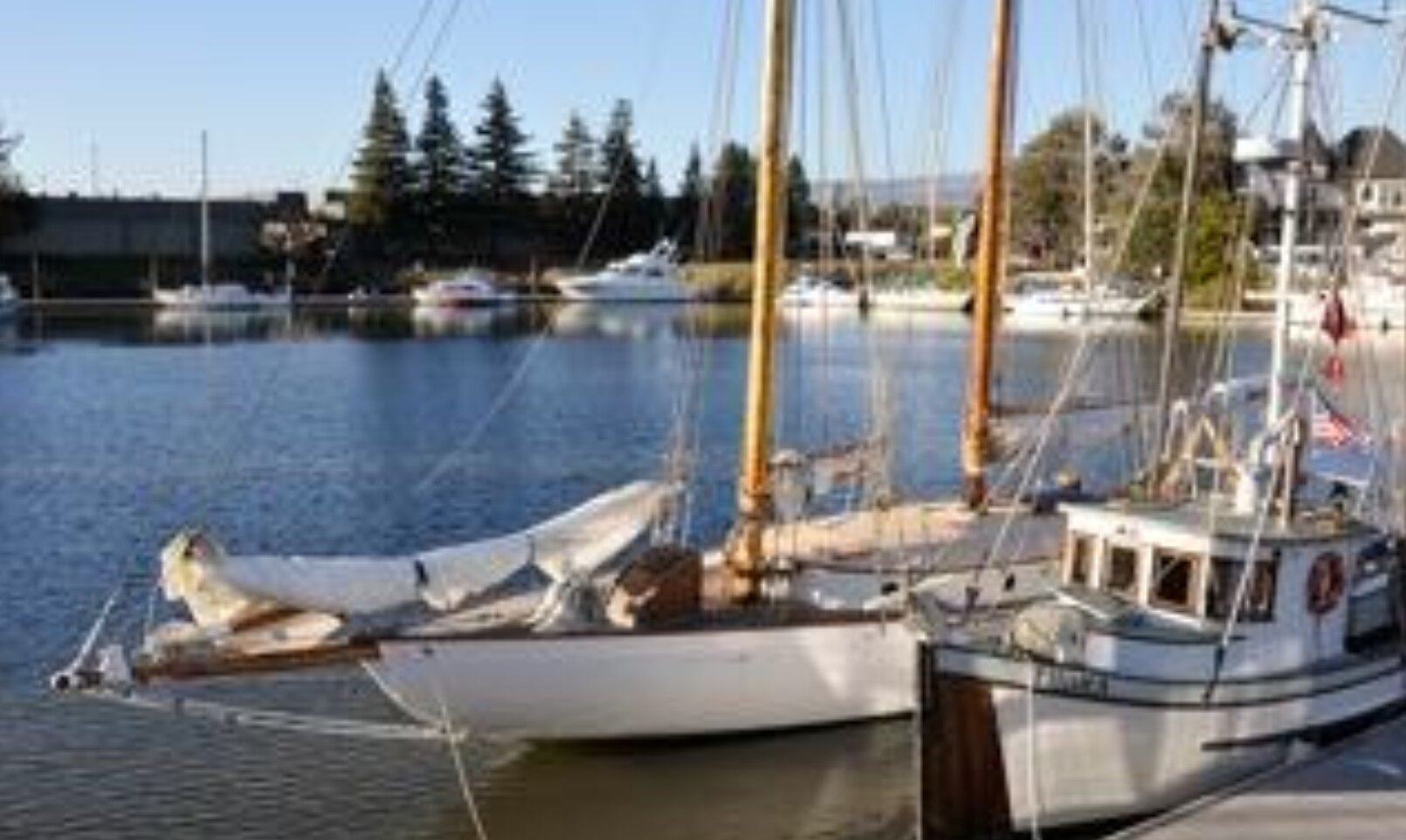 Yankee moored beside the classic cutter Thora