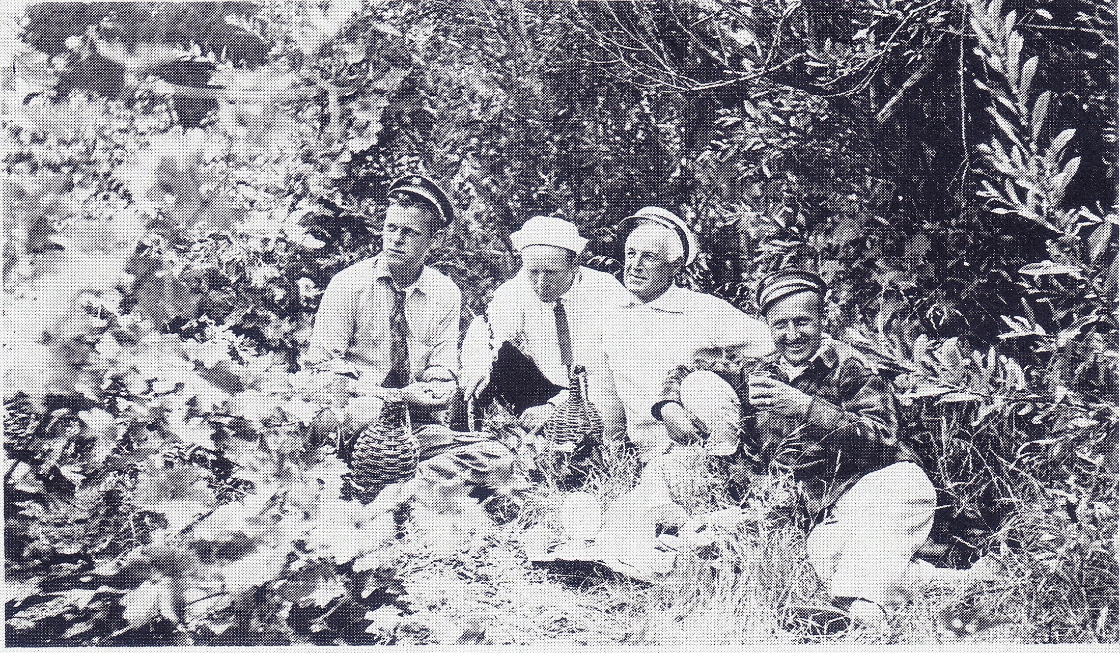 Yankee's crew ashore at Santa Cruz Island, 1937